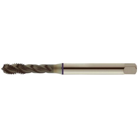 Taraud machine pour trous borgnes, surface traitée à la vapeur, DIN 371 C, Filetage M10, Pas 1,5 mm, Long. totale : 100 mm, queue Ø 10,0 mm