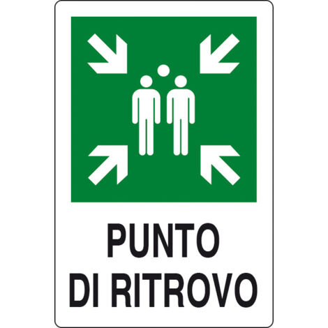 TARGA PUNTO DI RITROVO 300X200 ALLUMINIO NORMA EU- 1,0 pz