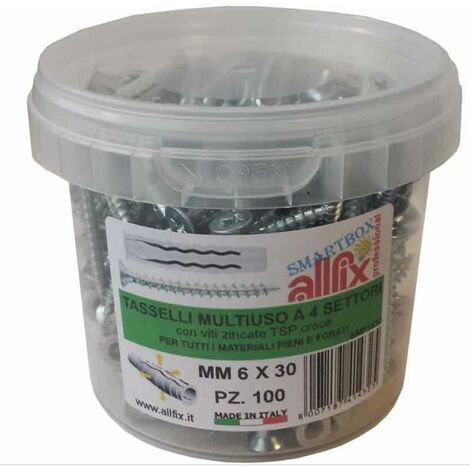 Tasselli In Nylon 6x30 mm Con Viti Allfix 100 Pz