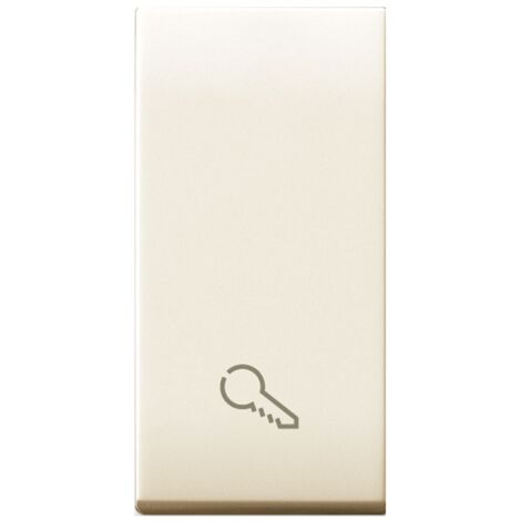 Tasto con simbolo della chiave illuminabile 1 modulo Ave Class 449TKP