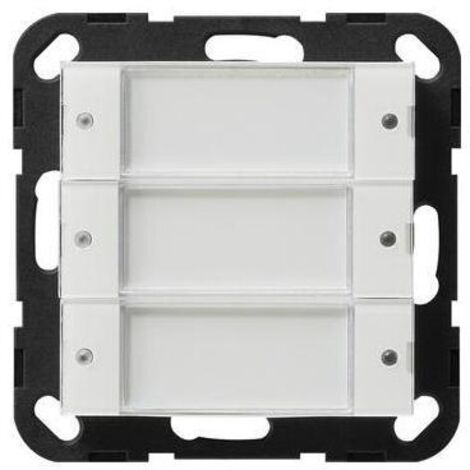 Tastsensor 2 3fach 24 V potenzialfrei System 55 Klar/Reinweiß 2003100