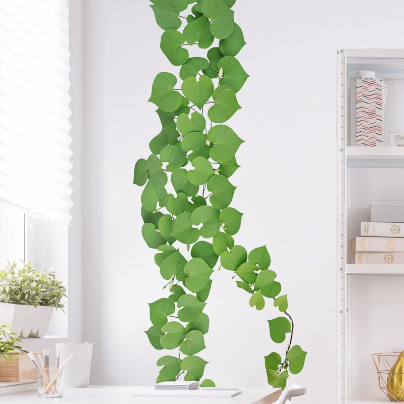 

Bilderwelten - Tatuaje de pared - Heart-Shaped Leaves Ranke Dimensión LxA: 200cm x 40cm