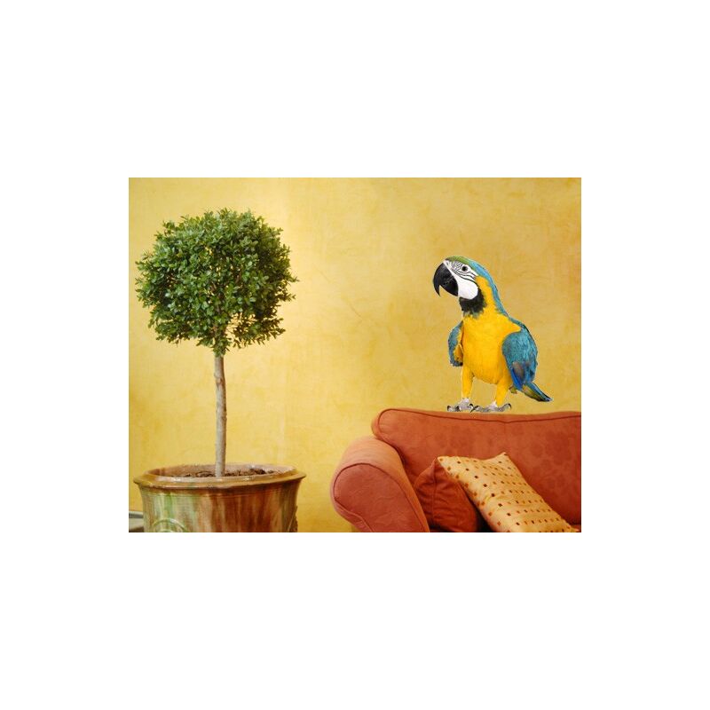 

Tatuaje de pared - no.134 Macaw Dimensión LxA: 100cm x 77cm