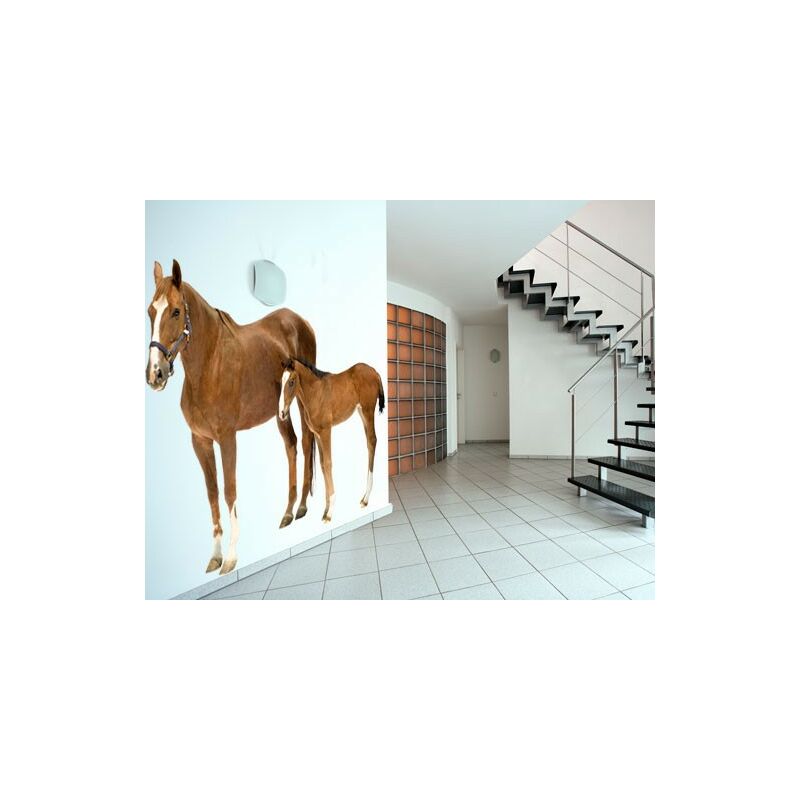 

Tatuaje de pared - no.306 Mare & Foal Dimensión LxA: 77cm x 90cm