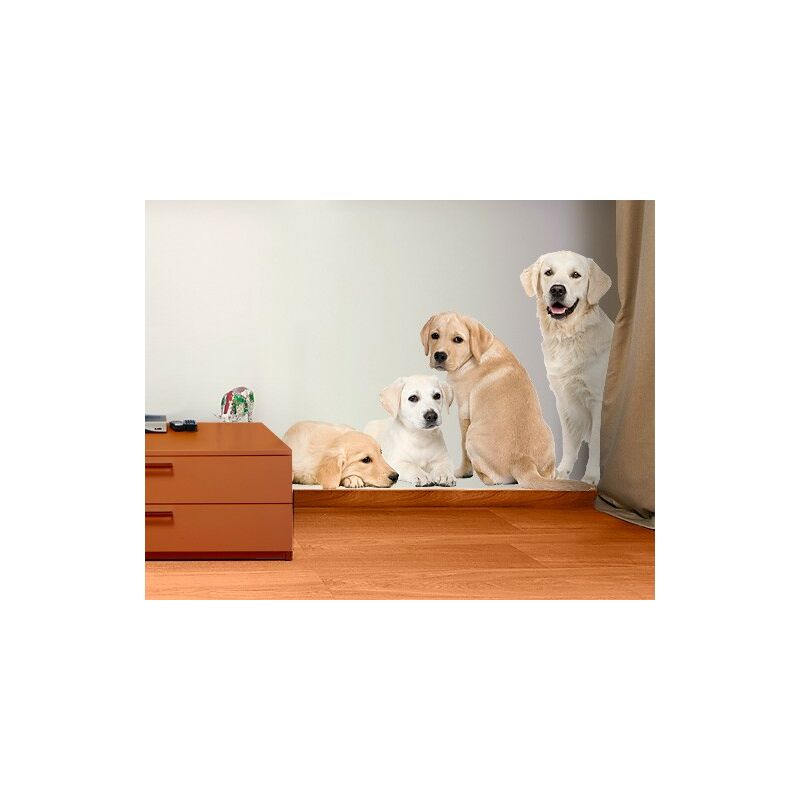 

Tatuaje de pared - no.454 portait of labradors and golden retriever Dimensión LxA: 75cm x 134cm