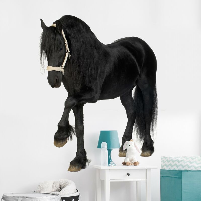 

Tatuaje de pared - no.276 Friesian Mare Dimensión LxA: 144cm x 110cm