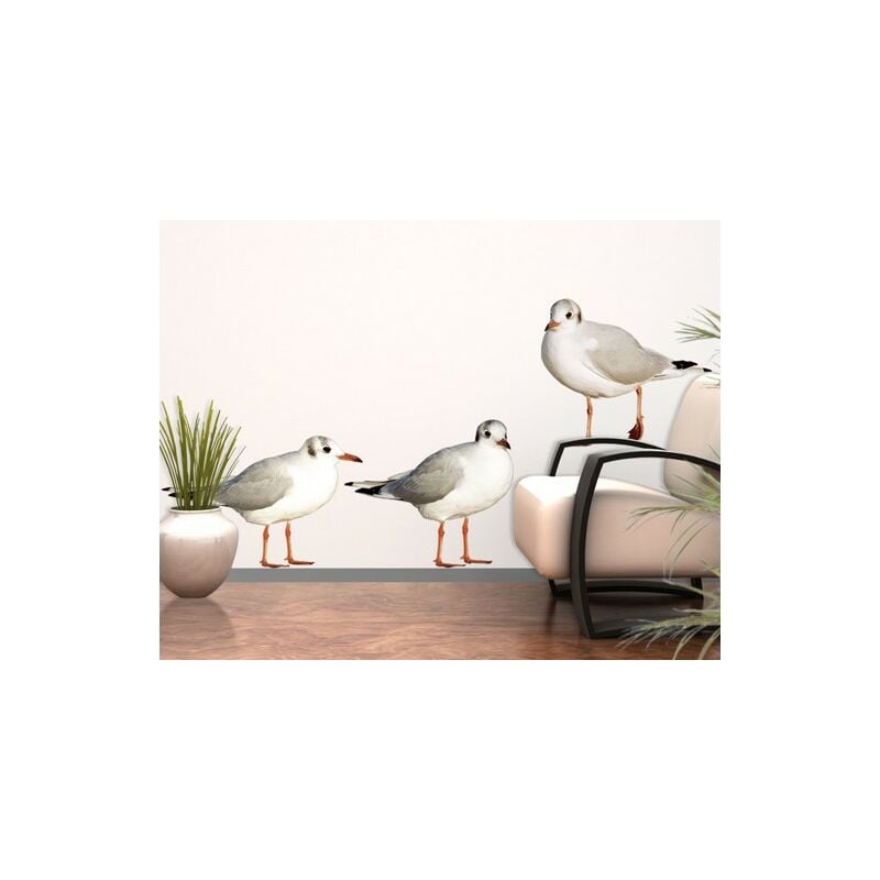 

Tatuaje de pared - no.CA43 Seagull Trio Dimensión LxA: 75cm x 75cm