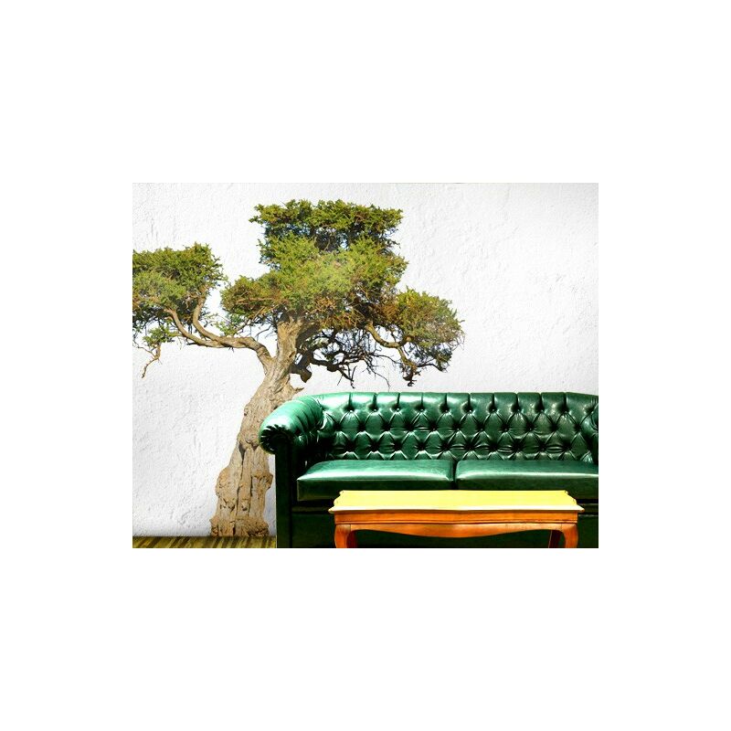 

Tatuaje de pared - no.394 Olive Tree Dimensión LxA: 70cm x 75cm