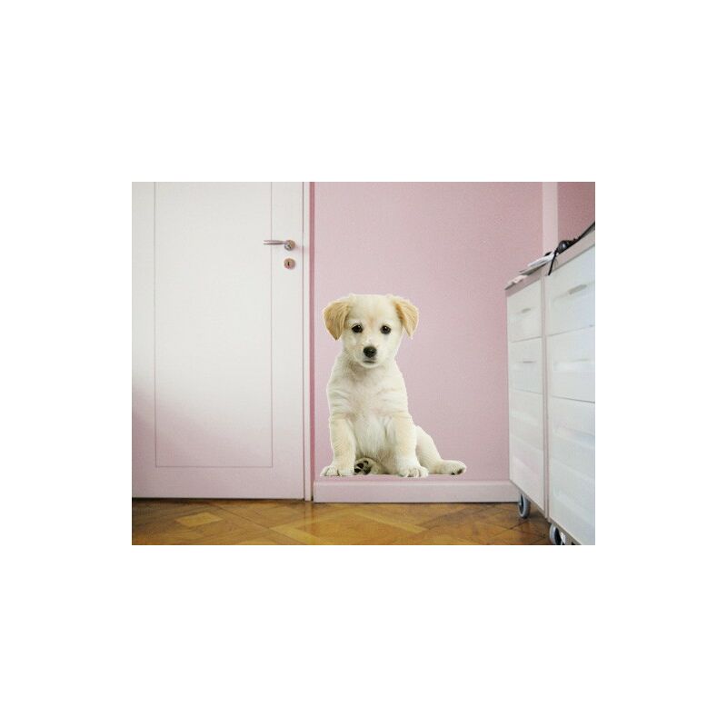 

Bilderwelten - Tatuaje de pared - no.94 Sweet White Dog II Dimensión LxA: 145cm x 115cm