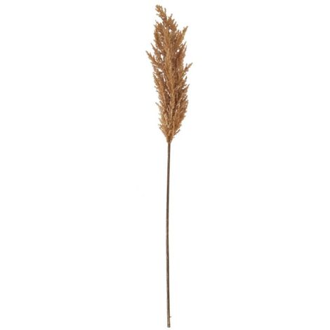 Taupe Faux Dried Pampas Grass (Single Stem) - H68 cm