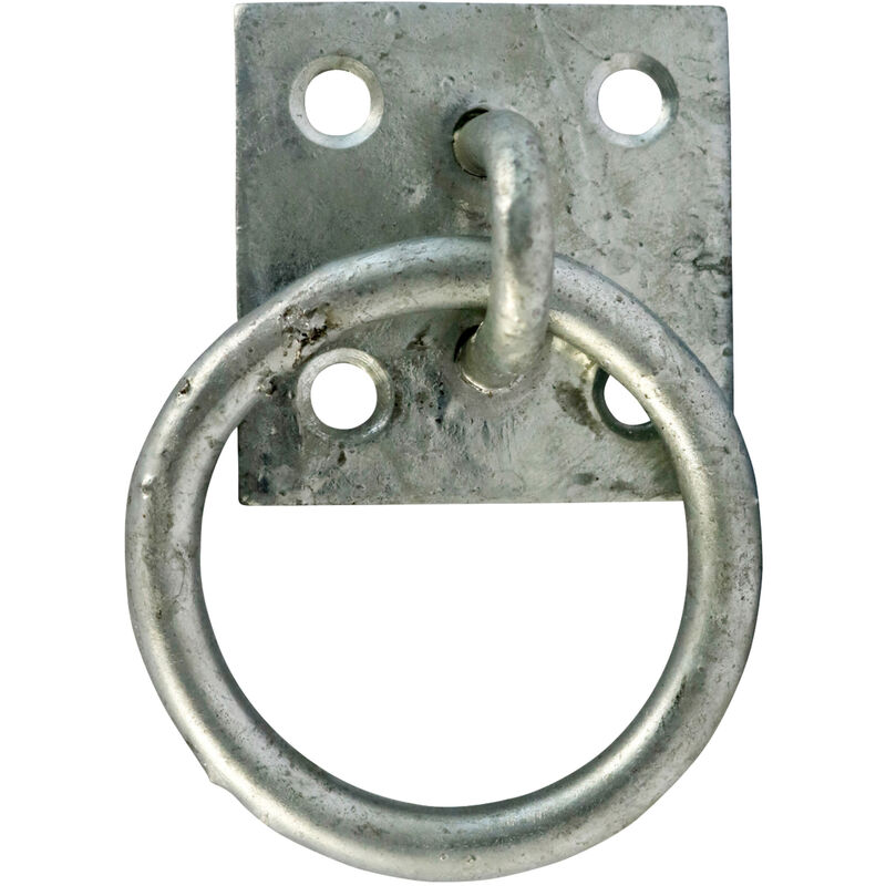 Ring on Plate 50mm (2') Galvanised (1 Pack) - Taurus