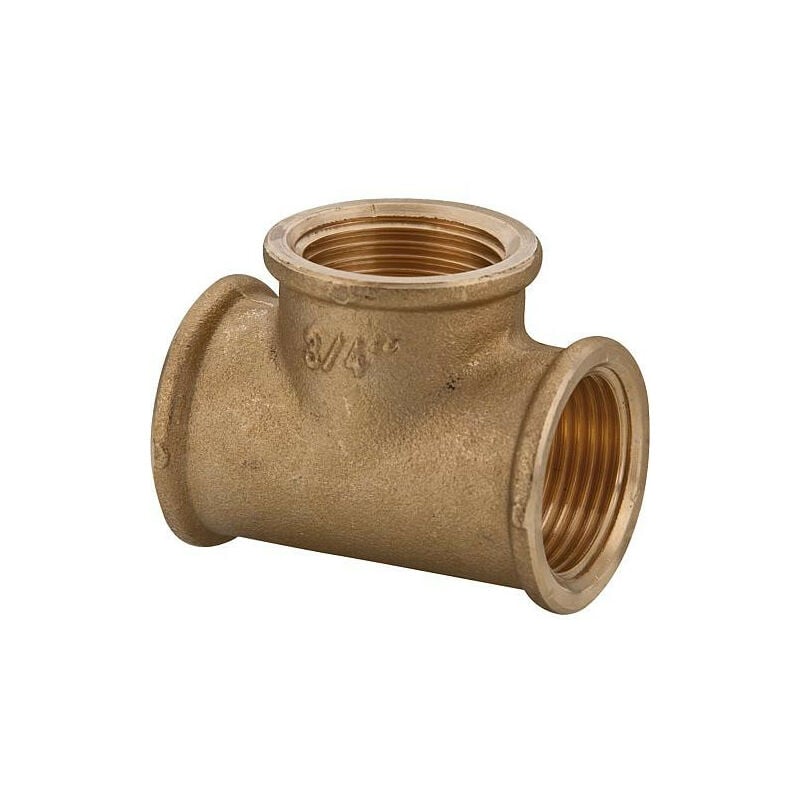 Te laiton 2' femelle