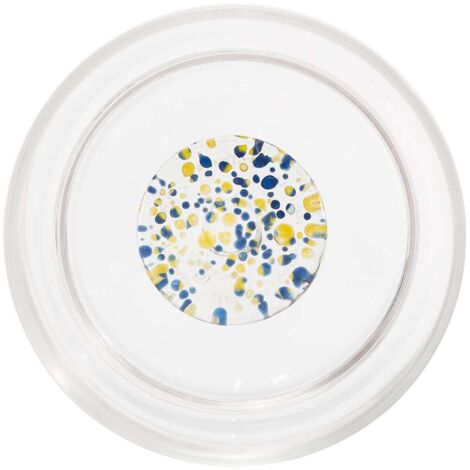 Teca Lot de 6 Tumbler Terrazzo en Verre Borosilicaté Double Paroi Couleurs Bleu et Jaune - Design Contemporain pour une Table Élégante