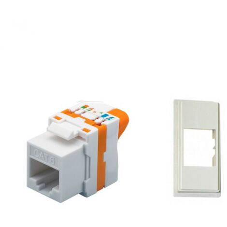 TechLy presa di rete RJ45 UTP Cat.6 tooless + Now sabbia