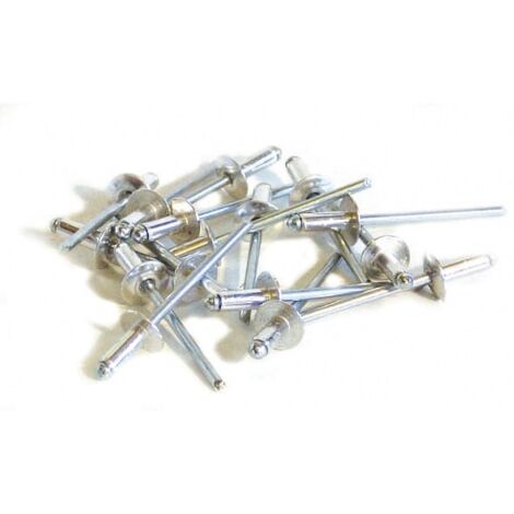TECHMAN 100 rivets alu / acier à tête plate Ø 4,8 x 8 mm
