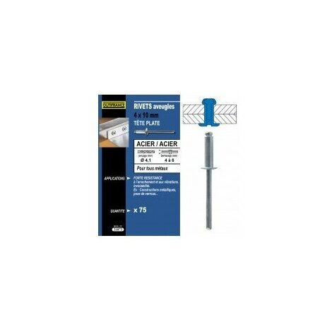 TECHMAN 75 rivets acier / acier à tête plate Ø 4 x 12 mm