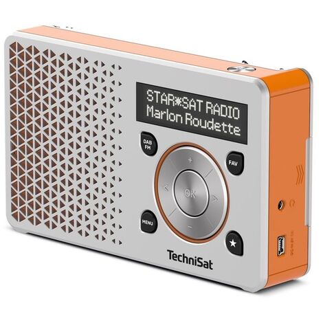 TechniSat Digitradio 1, silber/orange