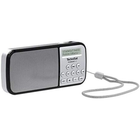 TechniSat Techniradio RDR Taschenradio DAB+, UKW AUX, USB Taschenlampe Silber