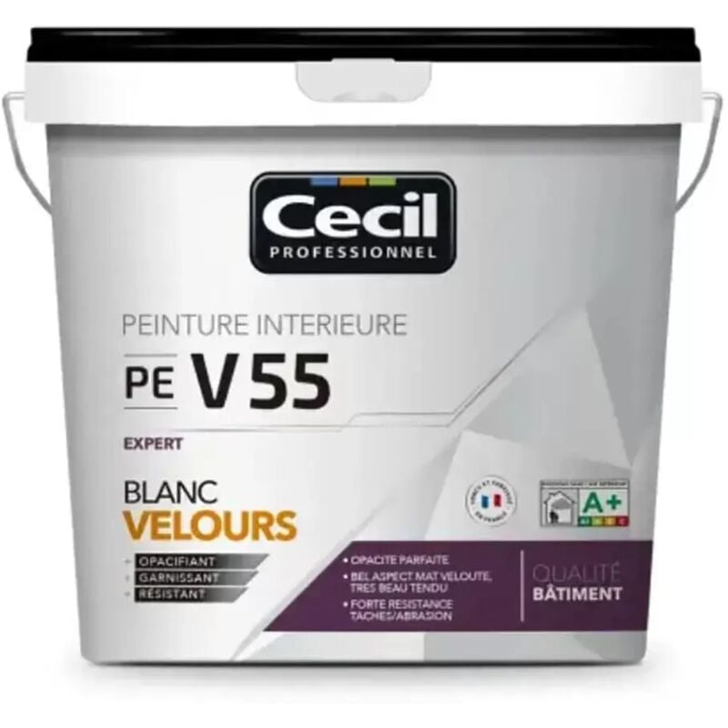 Peinture velours cécil pe V55 Blanc 5 l