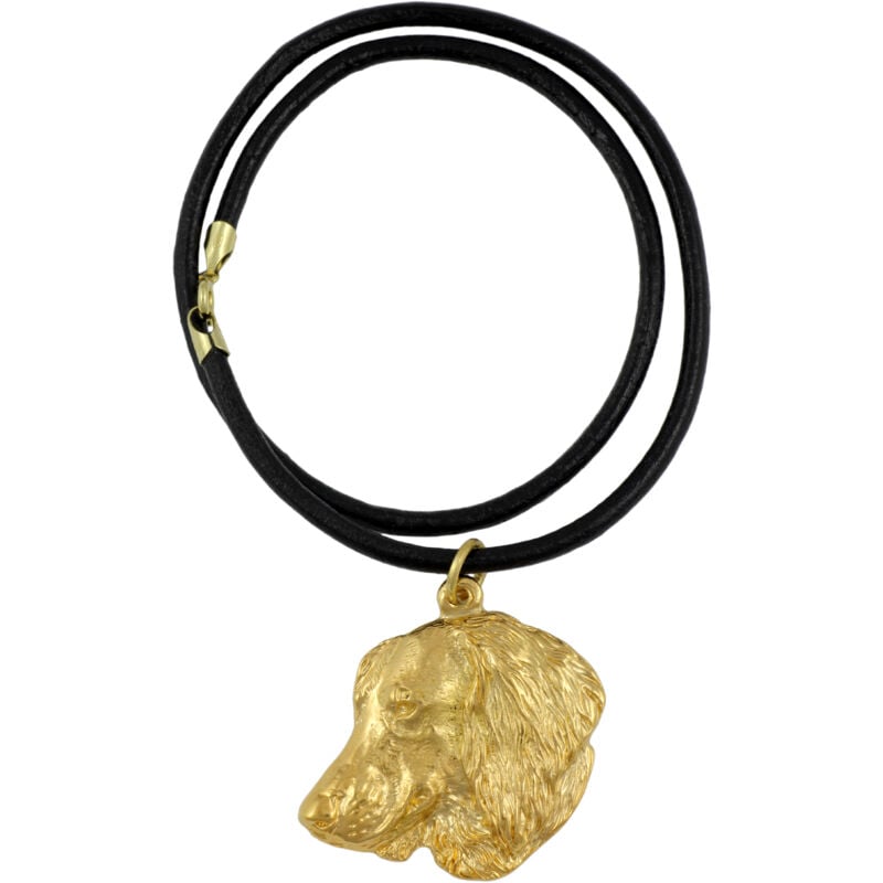 Teckel IV - un collier avec un chien dans une boîte cadeau, un pendentif plaqué or pour un amoureux des chiens, un bijou impressionnant de la marque