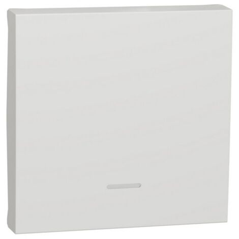 Tecla 2 módulos con visor polar SCHNEIDER NU920018N