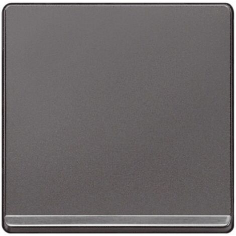 Tecla decorada en cromo difusor en carbono  Siemens Delta MIRO 5TG62705CC01