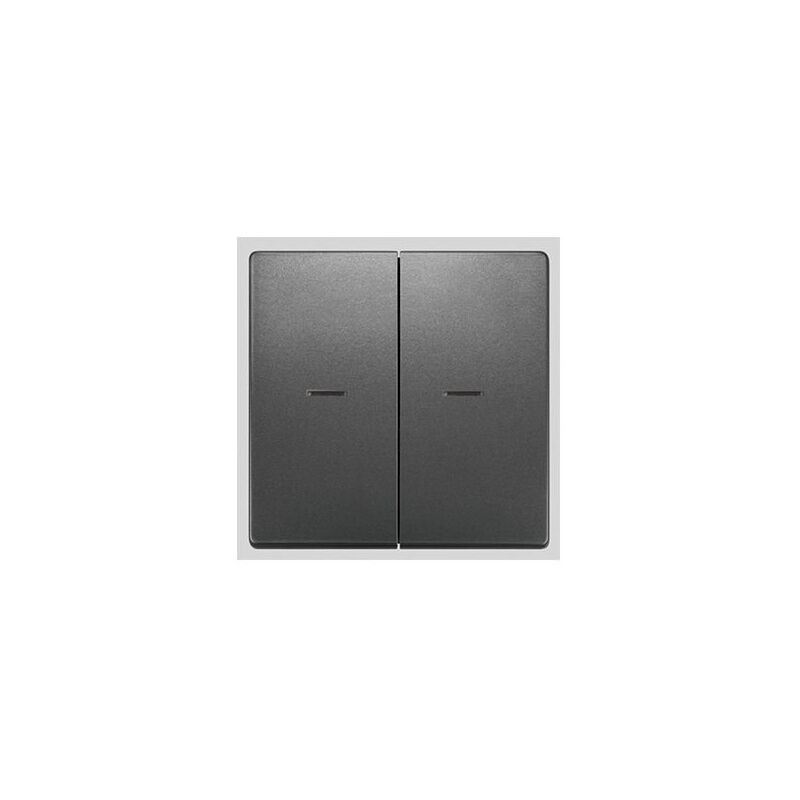 

Tecla doble con difusor antracita cosso Delta Style, 5TG7270-1AC01 - Siemens