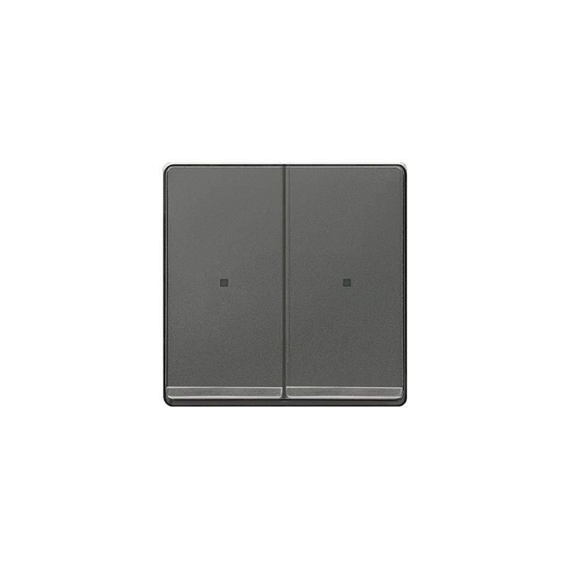 

Tecla doble cromada con difusor carbono metalizado Delta Miro, 5TG6270-1CC01 - Siemens