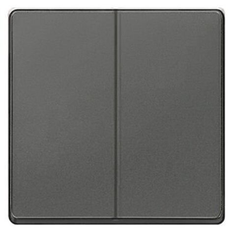 Tecla doble en carbono  Siemens Delta MIRO 5TG62701CM00