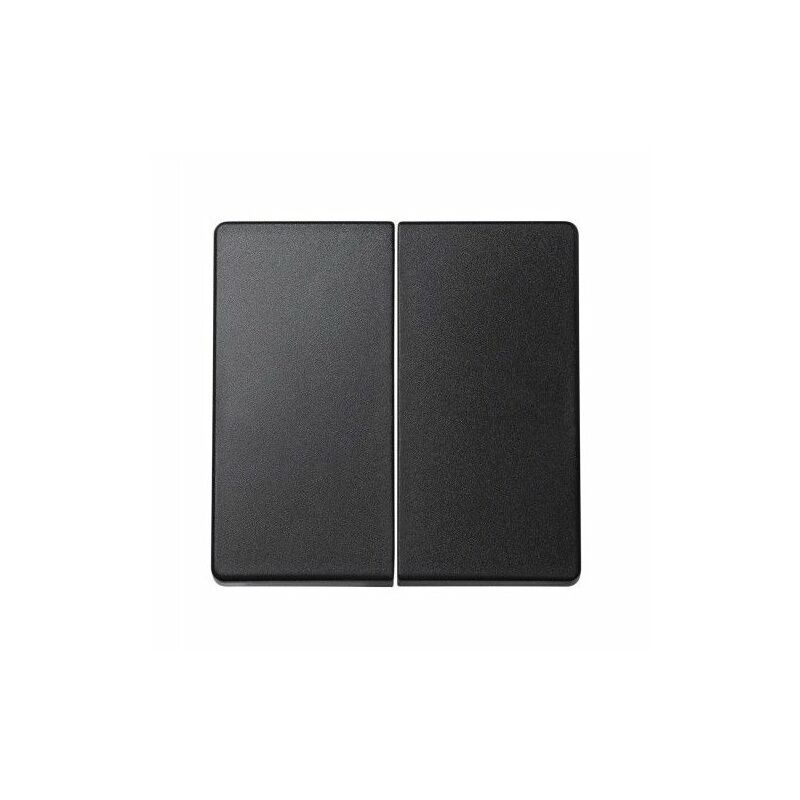 

Tecla doble interruptor GRAFITO 73 Loft 73026-62 - Simon