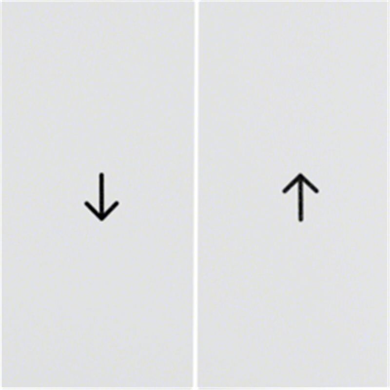 

Tecla doble persiana 16251909 S1/B3/B7 Blanco Mate - Hager