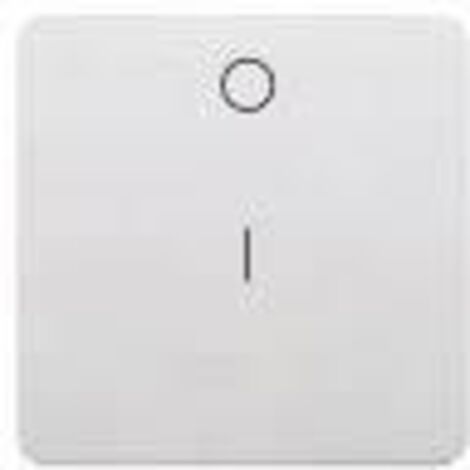 Tecla interruptor bipolar ancha BLANCO BJC 17708