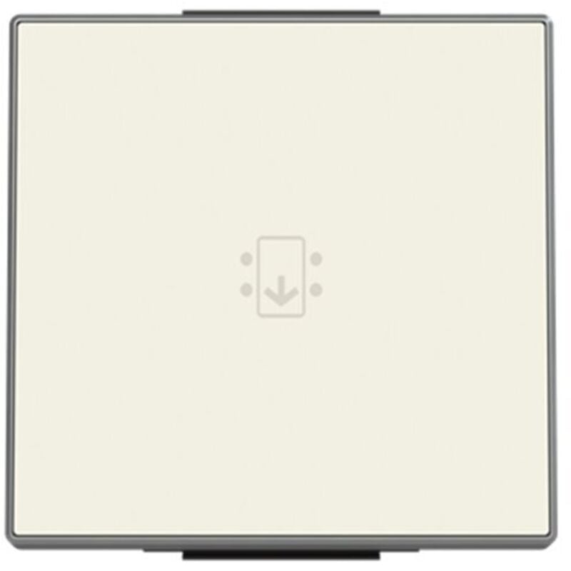 

Tecla interruptor de tarjeta BL 8514 BL - Niessen