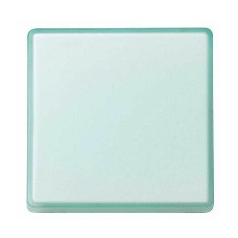 Tecla para mecanismos ancha Simon 27 Play  Verde