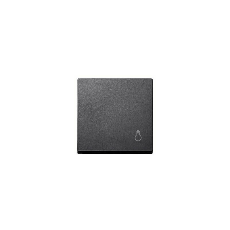 

Tecla simbolo luz Antracita SCHNEIDER ELEGANCE MTN439914