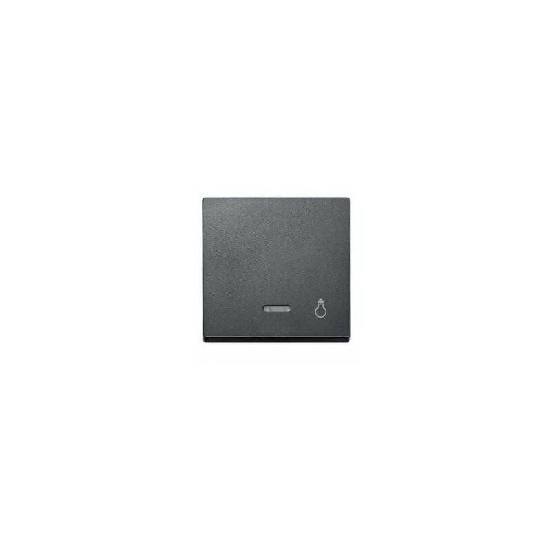 

Tecla simbolo luz con visor Antracita SCHNEIDER ELEGANCE MTN430914