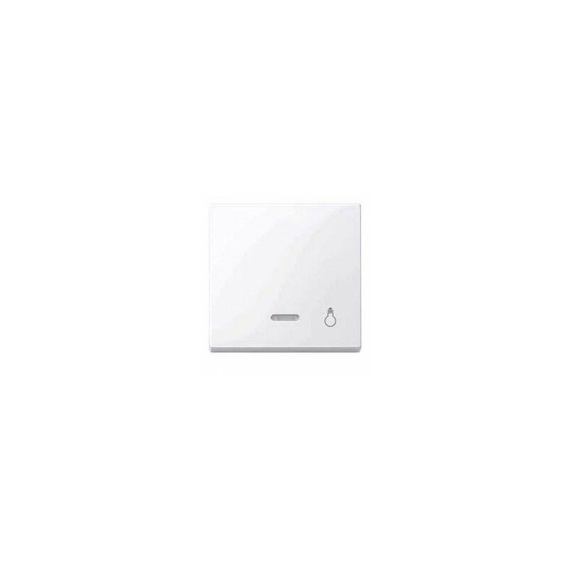 

Tecla simbolo luz con visor blanco SCHNEIDER ELEGANCE MTN435925