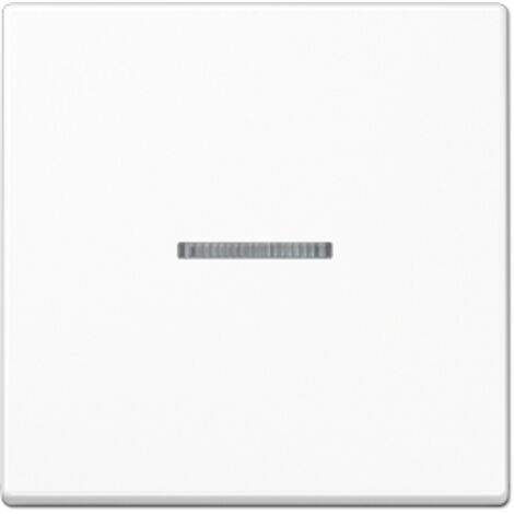 TECLA SIMPLE C/VISOR A BL. ALPI JUNG A590BFKO5WW