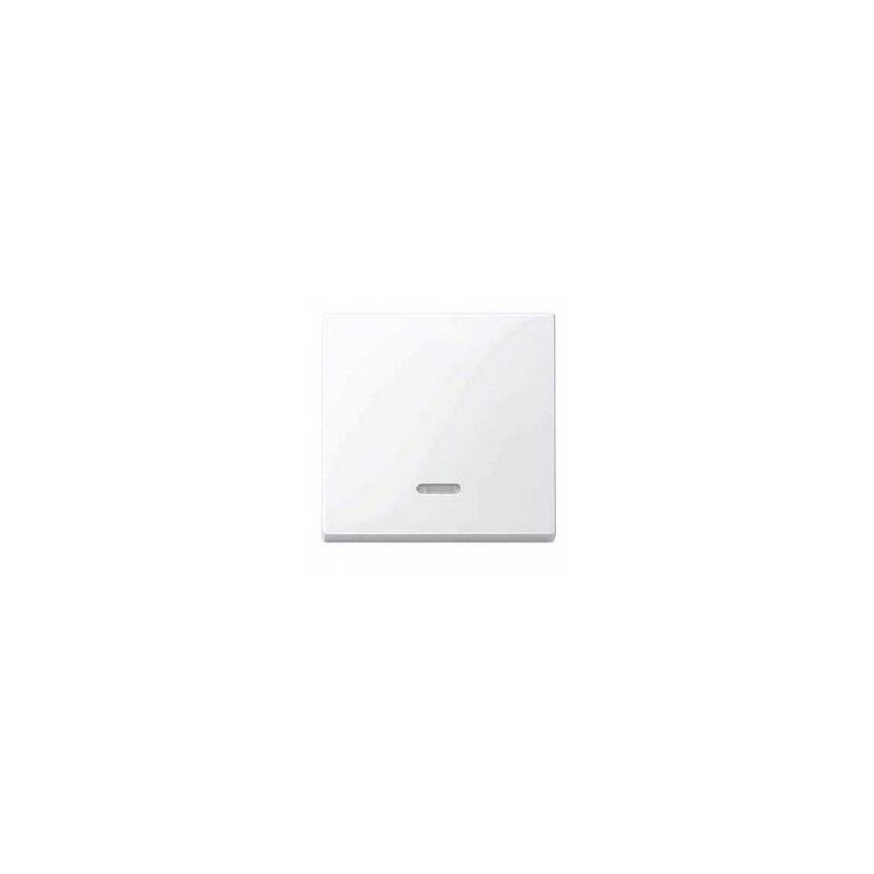 

Tecla simple con visor Blanco activo SCHNEIDER ELEGANCE MTN436025