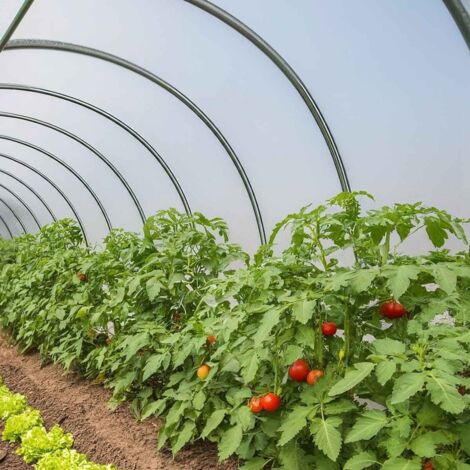 TECPLAST Bâche pour Serre 150SE - Bâche plastique transparente pour serre de jardin - Haute Qualité - Made in France
