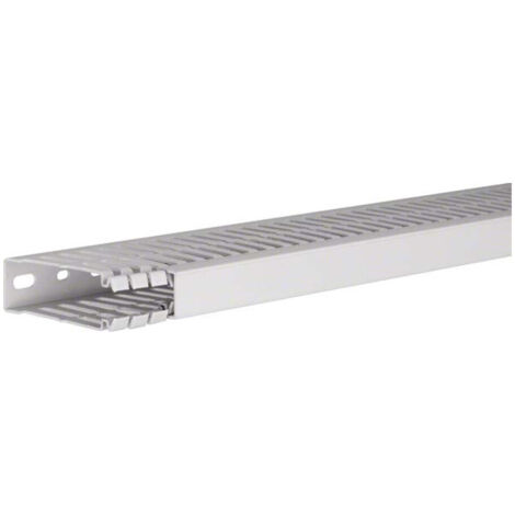 Tehalit Verdrahtungskanal hfr 80x25 HA 780025 lgr 2 Stk