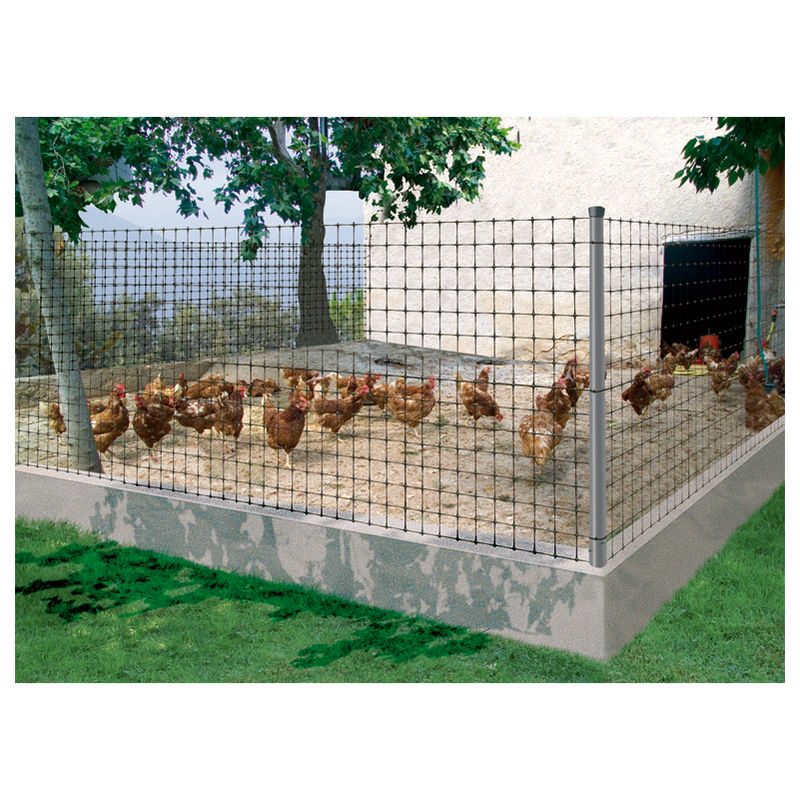 

Malla Gallinera Avinet 36 Negra 2X200M - 465498