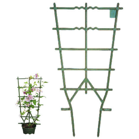 Telaio Vasi Rampicanti Verde Cm 35 H 64