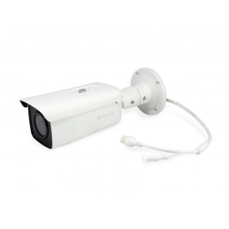 Telecamera di Sorveglianza IP Interno/Esterno LevelOne FCS-5092 con Risoluzione 3200x1800 Pixel, Montaggio a Parete, Alta Sicurezza e Visione Chiara
