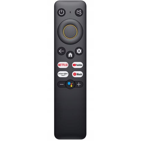 Telecomando TV modello RMV2105