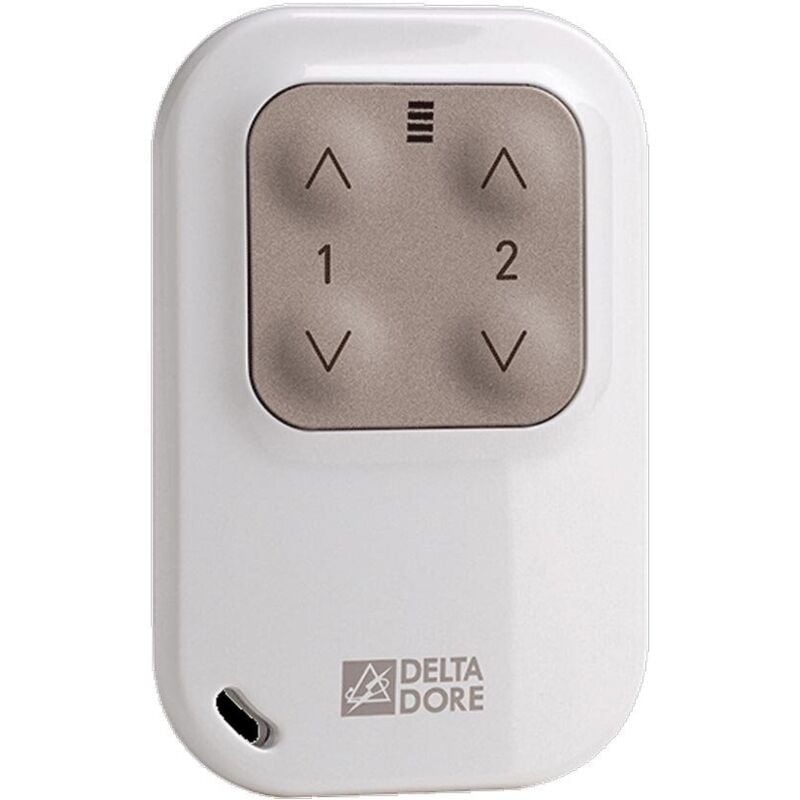 6351388 Tyxia 1400 Telecommande porte cle radio 2 voies Eclairage Volet roulant - Delta Dore