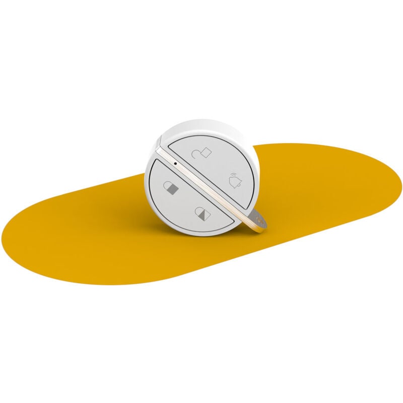 Somfy - 2401489 - Badge d'activation et de désactivation alarme - Fonction mains libres - Compatible Home Alarm (Advanced) One (+)