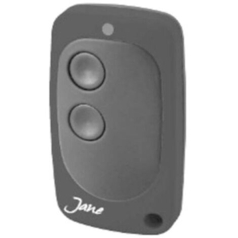 Télécommande universelle copieuse Jane – Fréquence 224.5 à 868 MHz – 2 canaux – Programmation simple sans matériel