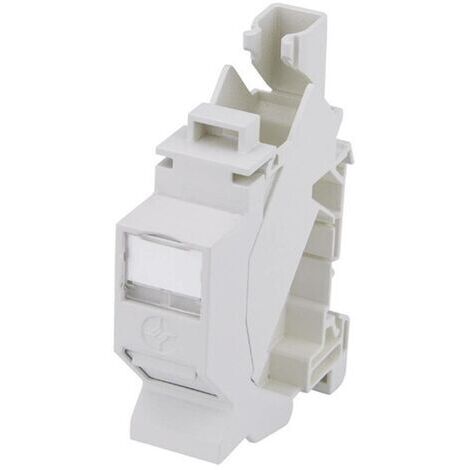 Telegärtner 100023003 Prise réseau profilé CAT 6a gris clair R68299