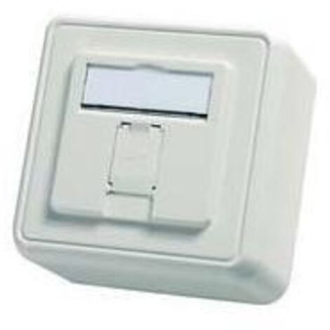 Telegärtner Modul-Aufnahme AP 80x80 1fach aws leer 100021381